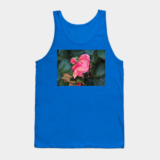 Camellia coming into bloom Tank Top by FriendlyComputerHelp